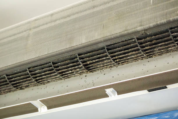 Best HVAC System Cleaning  in Sistersville, WV